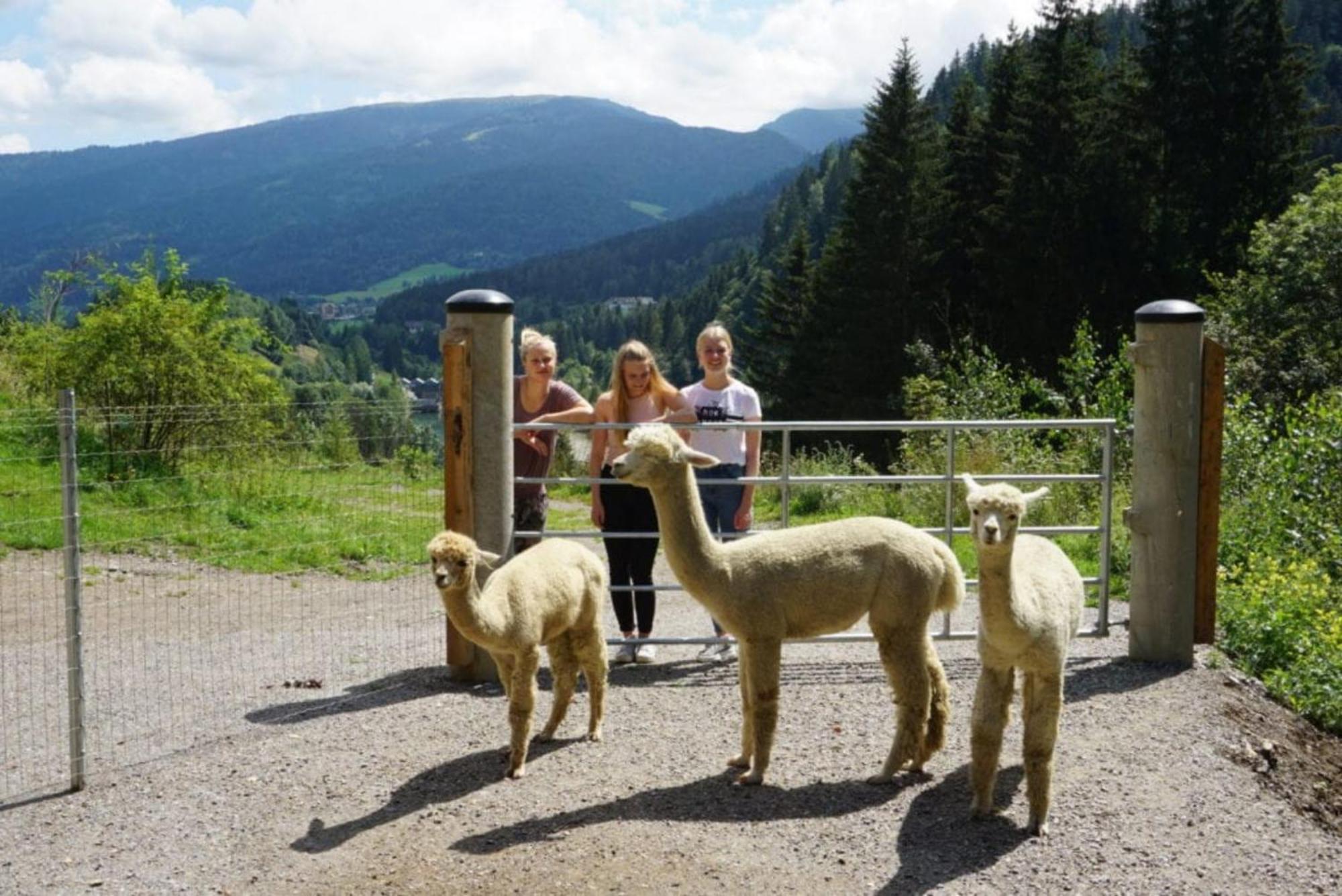 Vitalhof Am Kreischberg By Alps Resorts Bodendorf  Buitenkant foto